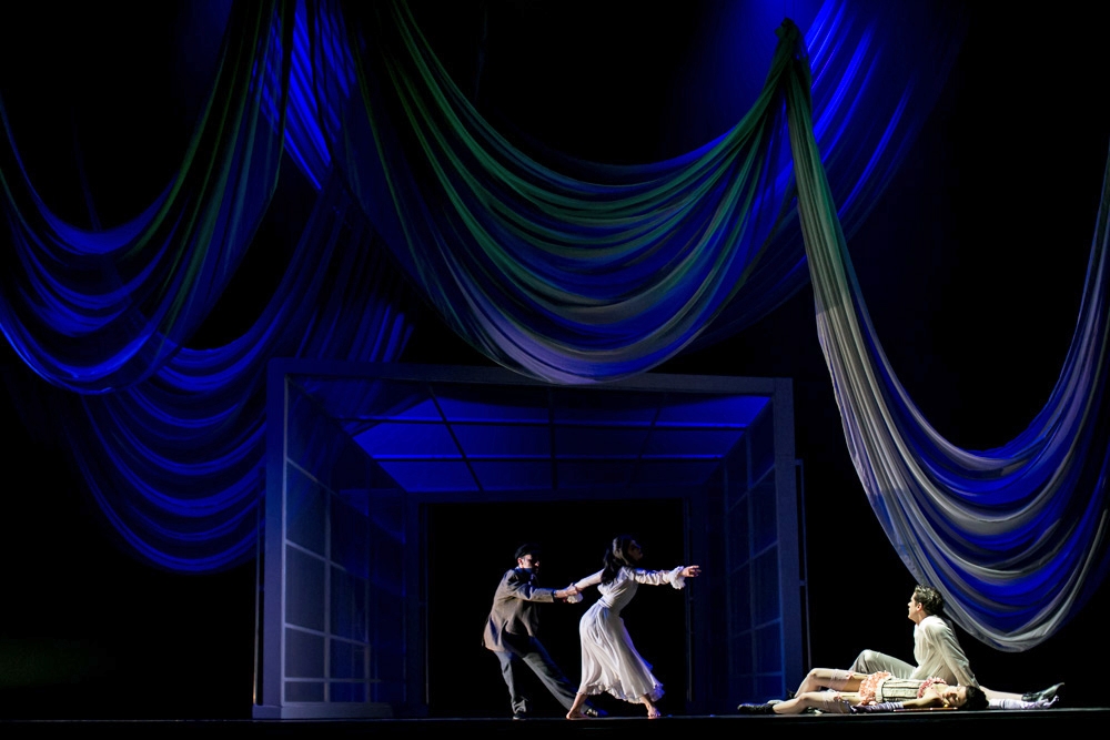 https://s7d9.scene7.com/is/image/RoseBrand/MBallet Dorian Gray - Voile 1 - Nathaniel Davauer (1)